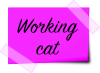 Working Cat