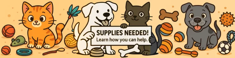 Supplies Needed! Graphic with link to Amazon Wish List